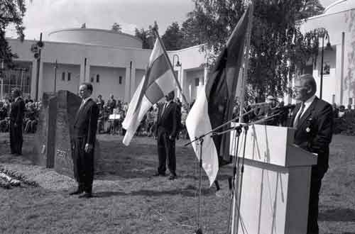 puhumassa eduskunnan varapuhemies Mikko Pesälä