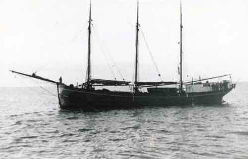 laiva