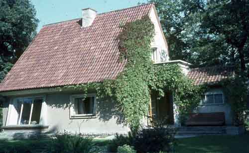 omakotitalot, köynnökset