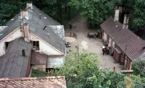 omakotitalot, koirat, köynnökset