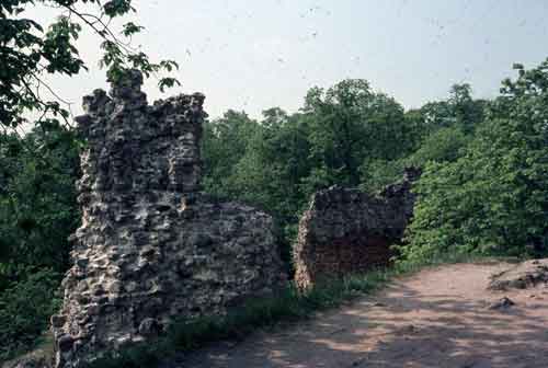 rauniot