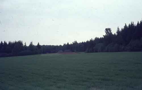 pellot, metsät