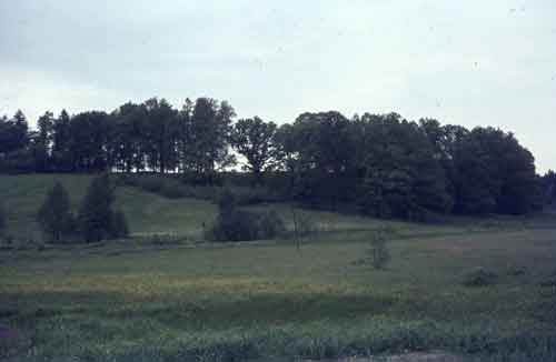 pellot, metsät