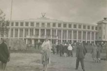 daami aululavan edustalla