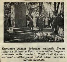 lehtileike
