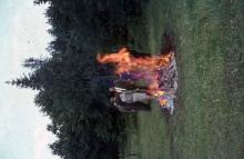 Kokko